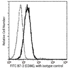 Profile of anti-B7-2 (CD86) reactivity on Daudi cells analyzed by flow cytometry.