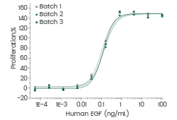 Three independent batches of human EGF protein (Cat#: 10605-HNAE) have identical bioactivity.