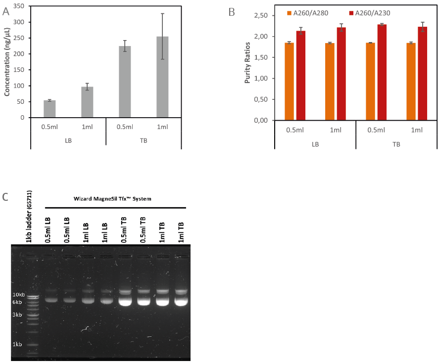 Concentrations, purity and agarose gel electrophoresis of plasmid DNA purified from bacteria using the Wizard MagneSil Tfx™ System on the CyBio FeliX Liquid Handler. Plasmid DNA was purified from both 0.5 mL and 1 mL overnight cultures in either TB or LB medium. (A) Plasmid DNA concentrations and (B) A260/A280 and A260/A230 absorbance ratios were measured spectrometically. The average values ± s tandard deviations of