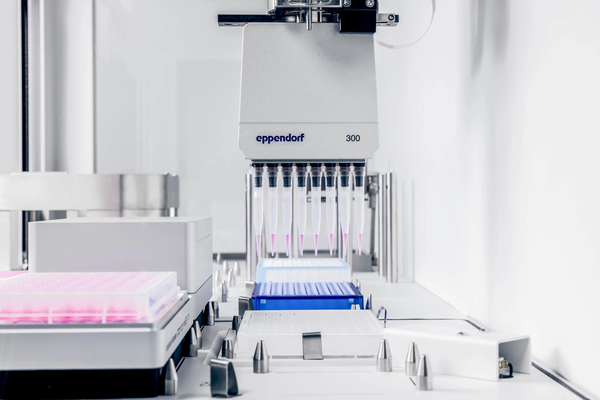 Streamlining automated assays: A comparative study of Absorbance 96 and Eppendorf epMotion® in cell-based research