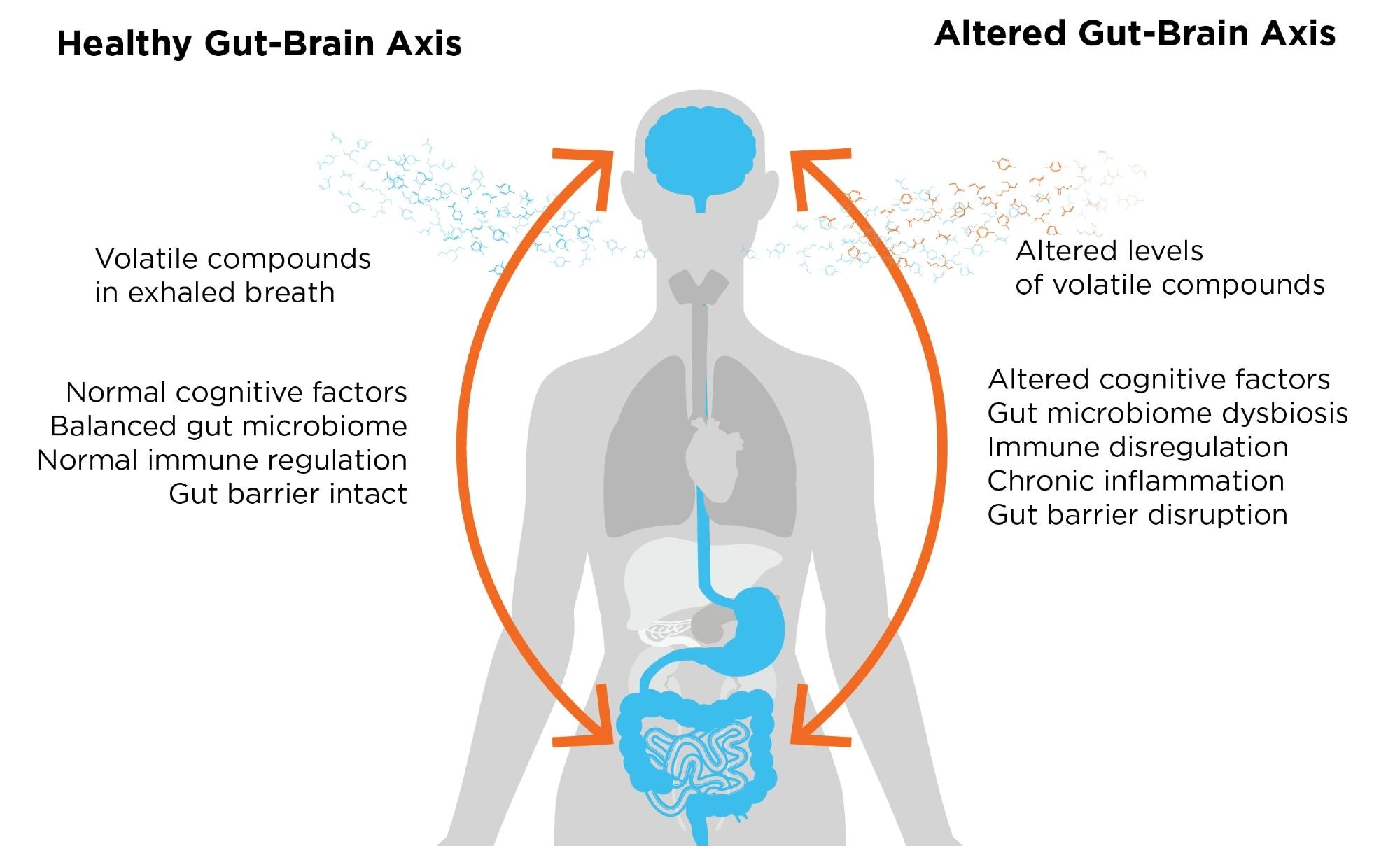 Discovering the gut-brain axis with breath analysis