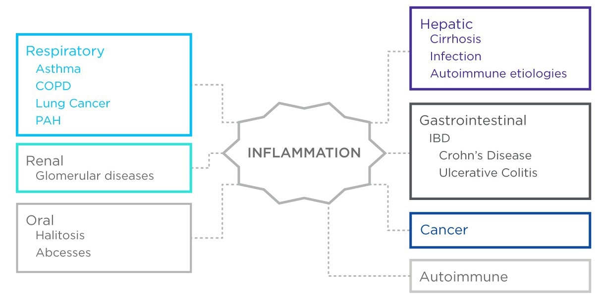 A selection of diseases that involve inflammation and that have been explored through breath research.