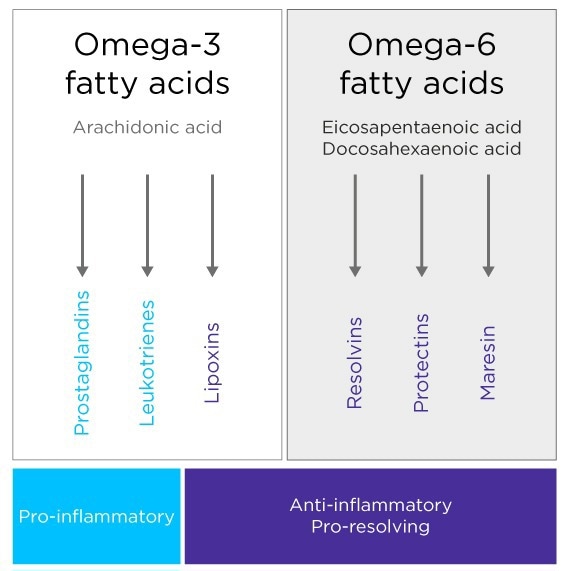 Unsaturated fatty acids can be converted into a complex range of pro- and anti-inflammatory compounds through various metabolic processes, illustrating the elaborate relationship between metabolism and regulation of inflammation.