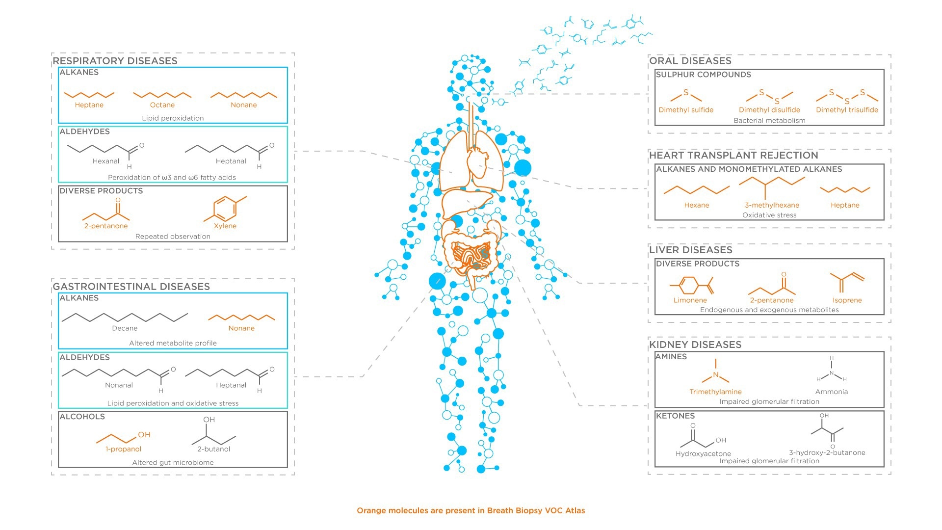 Examples of how different inflammation processes and resulting small molecule biomarkers have been prospectively connected to different illnesses in a disease-specific manner.