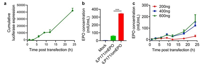 In vitro protein expression mediated by iLP171/mRNA.