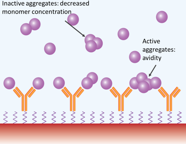 Advancing protein quality control for efficient high-throughput screening