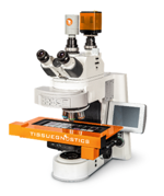 TissueFAXS PLUS Upright Brightfield and Fluorescence System