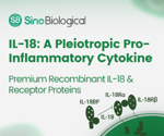 Recombinant IL-18 proteins for immunological research