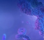TurboCHO system for recombinant antibody expression in mammalian cells