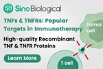 TNFs and TNFRs: Important regulators of the immune system