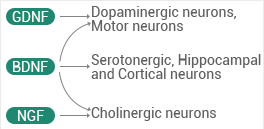 Reagents for therapeutic targets of neurodegenerative diseases