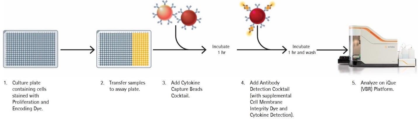 iQue® Immune Cell-based kits for immunophenotyping and function