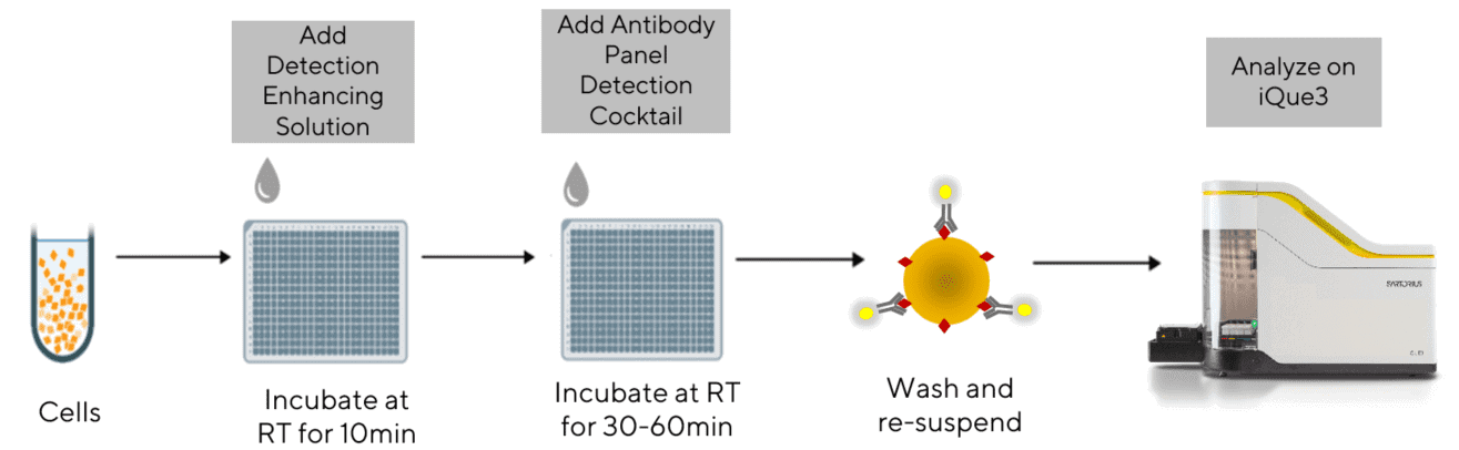 IQUE®免疫细胞基于免疫表型和功能的试剂盒