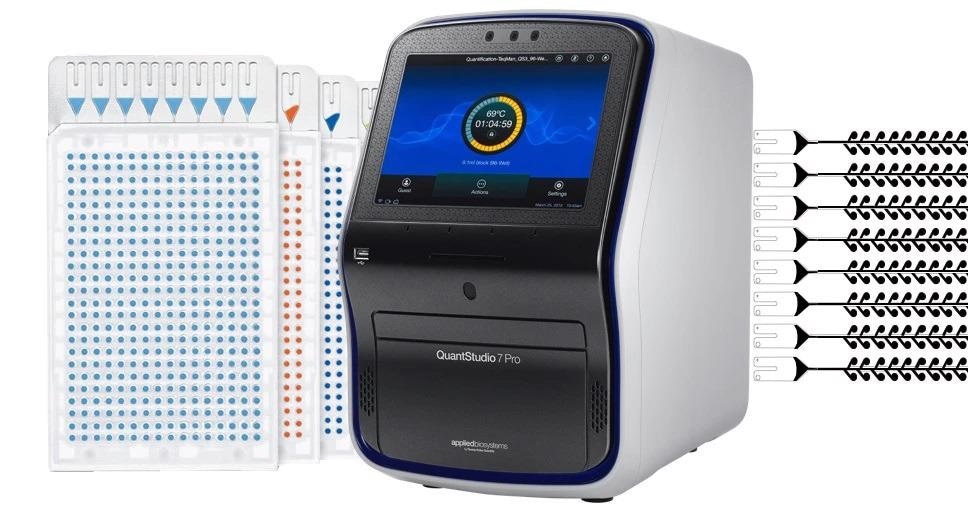 QuantStudio 6 and 7 Pro Real-Time PCR systems
