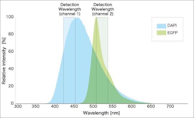 Confocal MEMS unit for fluorescence imaging
