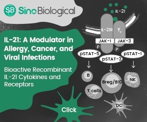 Interleukin-21 (IL-21): Recombinant cytokines and receptors for further study