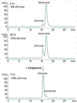 Recombinant protein expression
