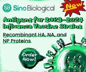 Influenza vaccine strains: Recombinant antigens from 2015–2024