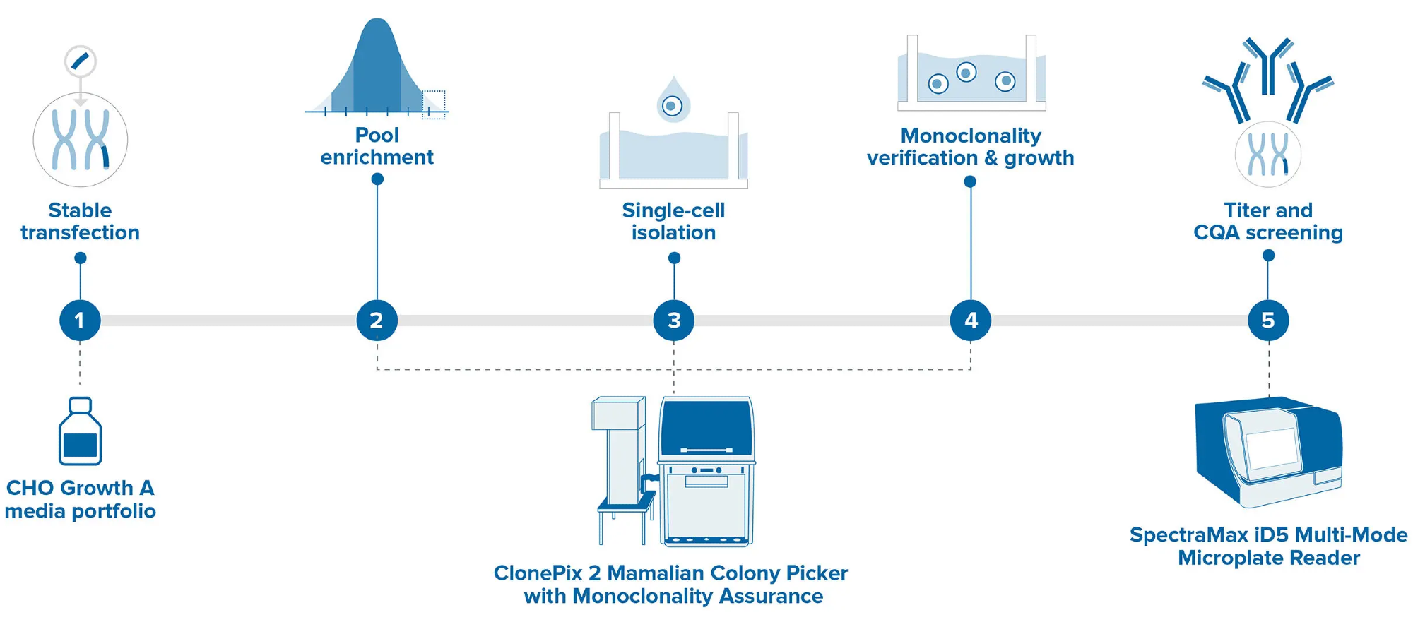 Complete automated screening using the ClonePix 2 Mammalian Colony Picker