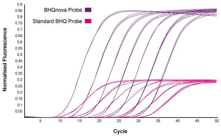 BHQnova™: Custom DNA probes for qPCR