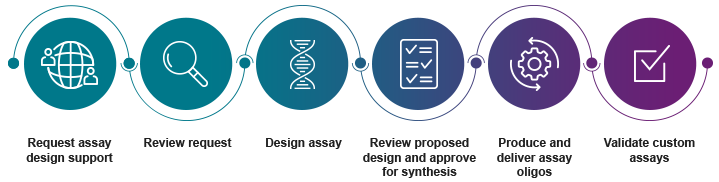 Design and development services for PCR assays