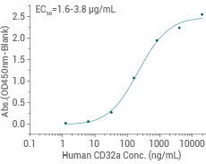 ELISA functional assay: Immobilized human IgG1 at can bind human biotinylated CD32a protein.