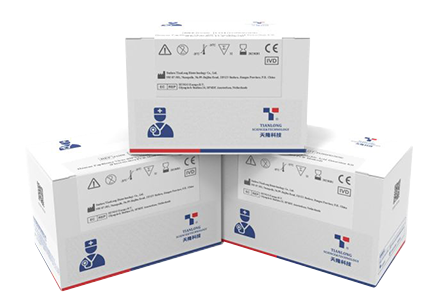 Human Papilloma Virus (HPV) PCR Detection Kit for identification of type 16 and 18 of HPV