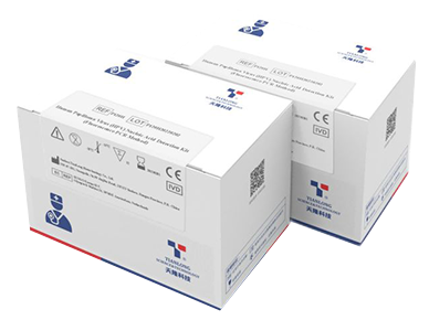 Human Papilloma Virus (HPV) PCR Detection Kit for identification of type 16 and 18 of HPV