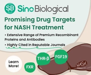 NASH treatments: Advanced drug candidates