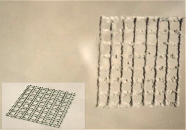 3D printed grid-like structure using TissueFab® GelMa UV; CAD design (inset).