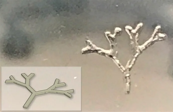 3D printed branch-like structure using TissueFab® GelAlg UV; CAD design (inset).