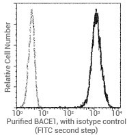 Flow cytometric analysis of human BACE1 expression on Jurkat cells. I