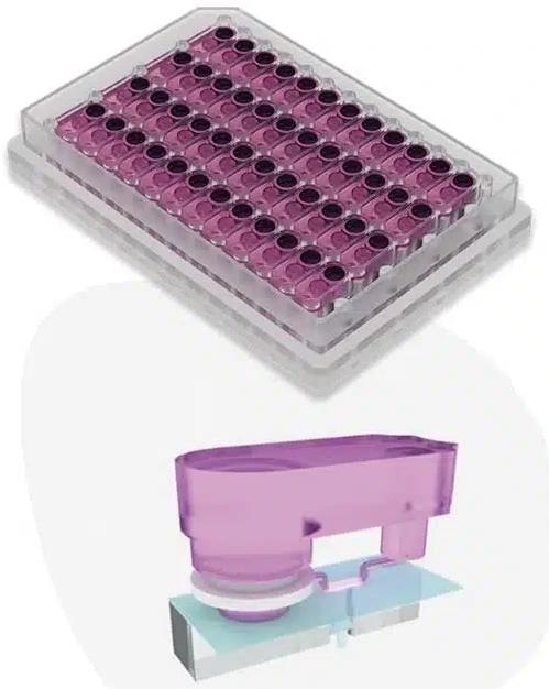 PhysioMimix® Liver-12 and -48 plates for in vitro 3D human liver tissue recreation