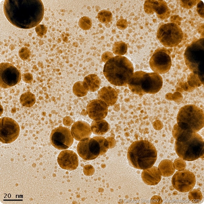 Gold nanoparticles produced by laser ablation in heavy water. Scale bar denotes twenty nanometers (20 nm)