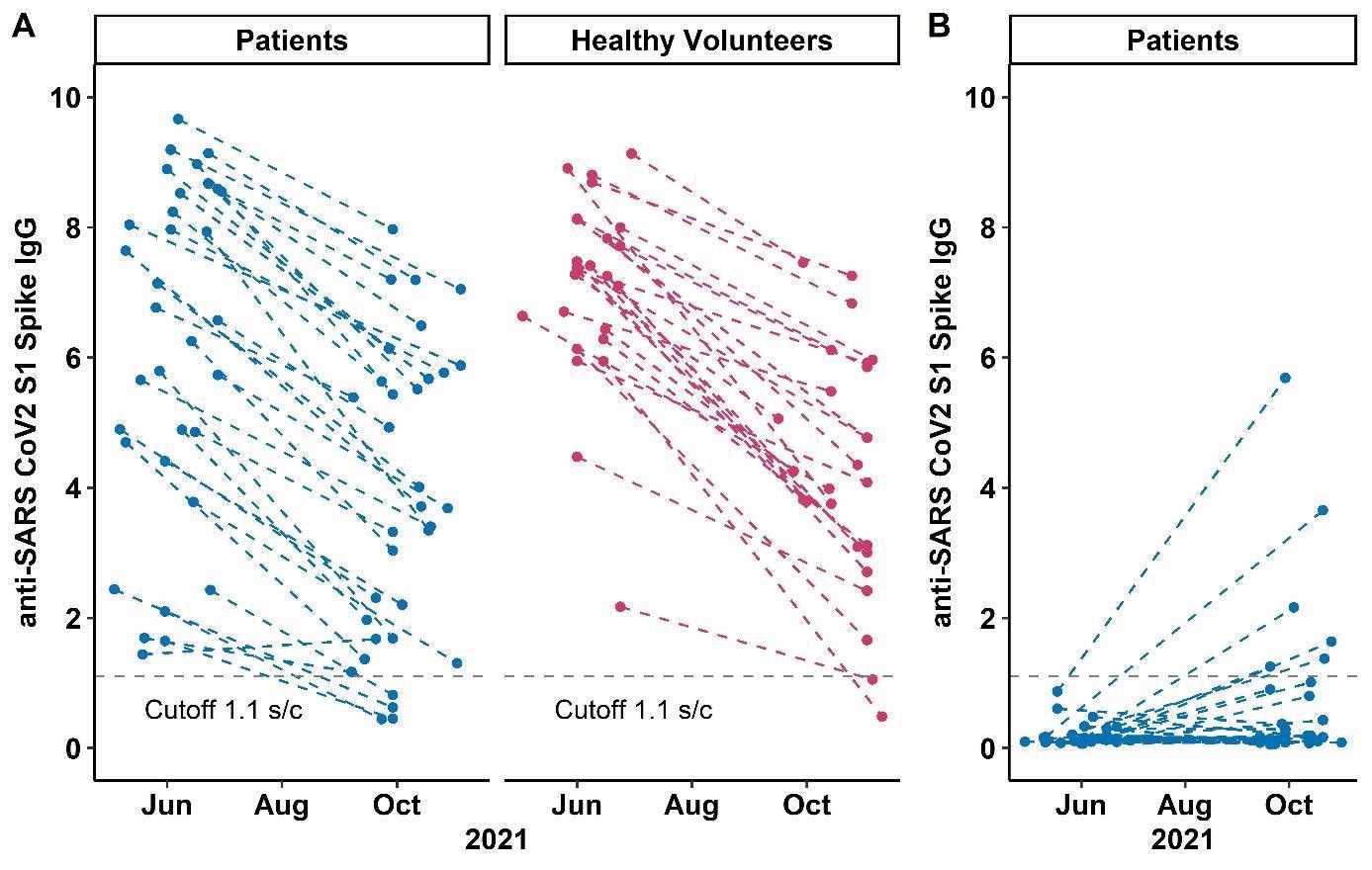anti-SARS CoV2 S1 Spike IgG levels at study visit 1 and 2 in A) patients and volunteers with two dose humoral response and B) patients with a third dose vaccination. Each point represents one study visit; intraindividual values are connected with dashed lines. The dotted grey line denotes the cut-off anti-SARS-CoV-2 S1-IgG value of 1.1 (signal to cutoff ratio).