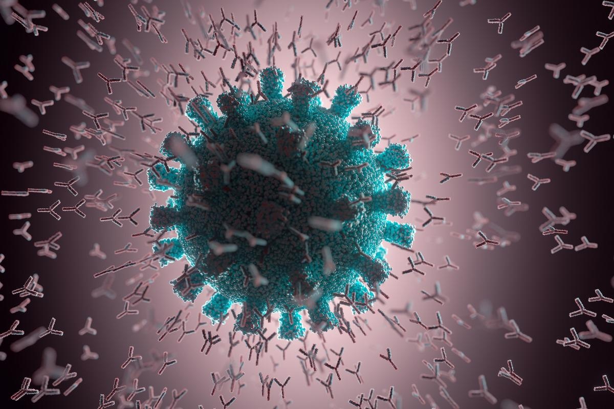 Study: Protective properties of COVID-19 convalescent and post-vaccination IgG antibodies.  Image credit: ktsdesign / Shutterstock