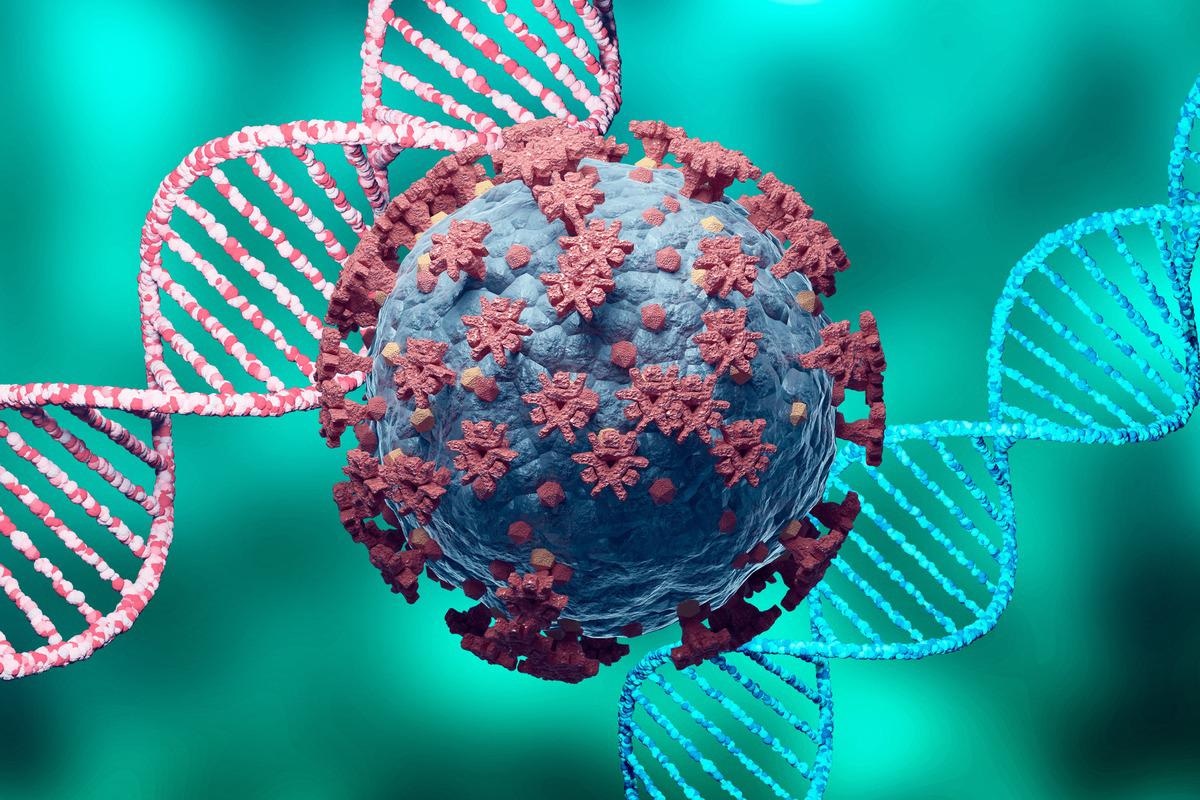 Study: SARS-CoV-2 genome-based severity predictions correspond to lower qPCR values and higher viral load. Image Credit: Adao/Shutterstock