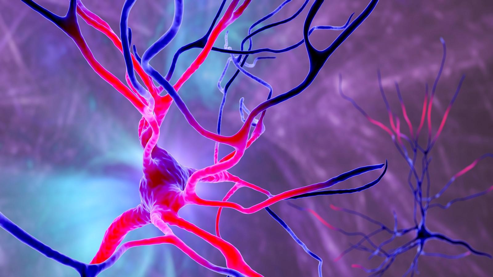 Study: Severe COVID-19 induces molecular signatures of aging in the human brain. Image Credit: Kateryna Kon / Shutterstock