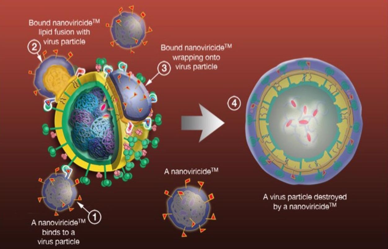 Graphic Representation of the mechanism of action of nanoviricide binding and inactivation of viruses