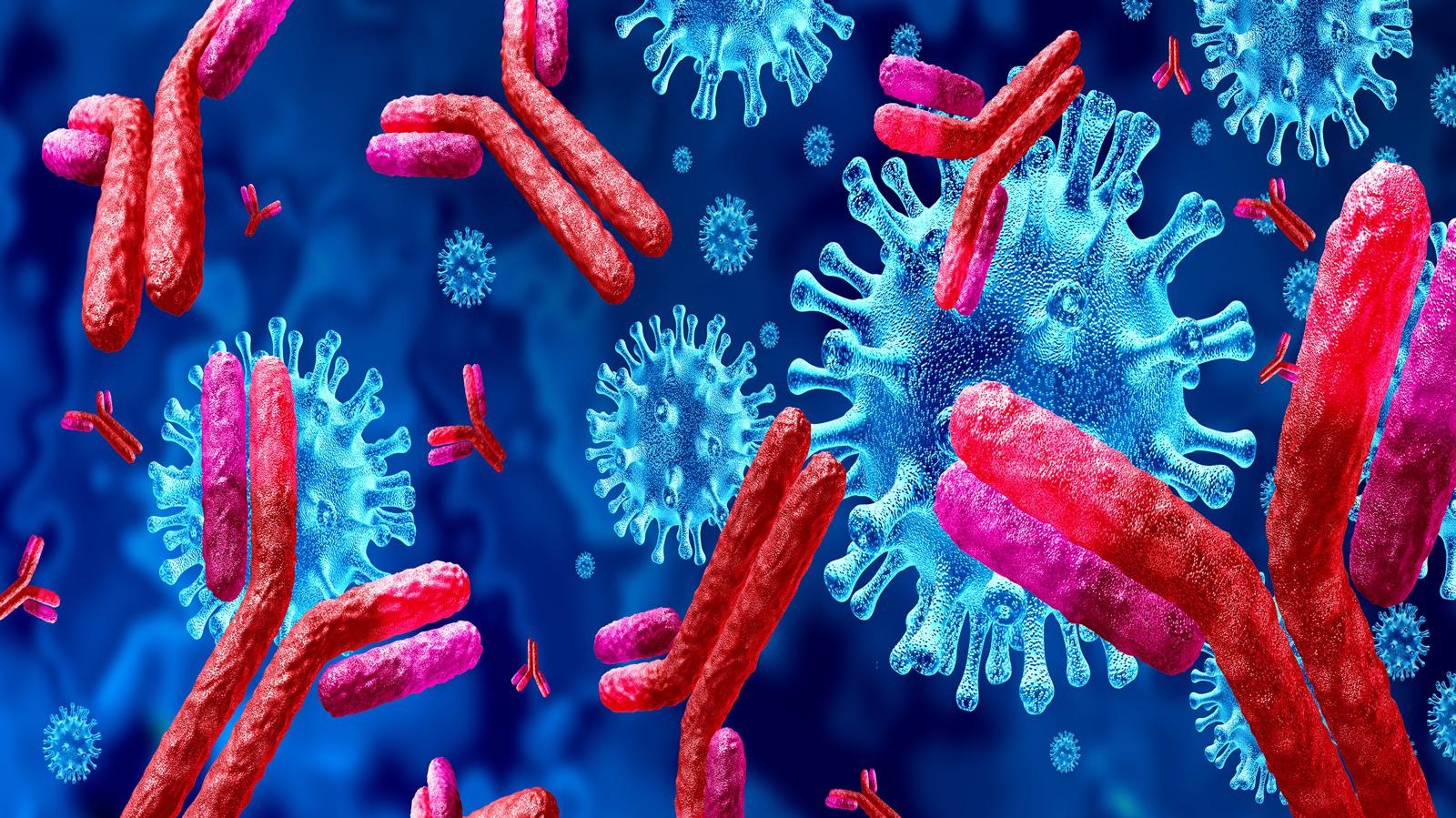 Study: SARS-CoV-2 Convalescent Sera Binding and Neutralizing Antibody Concentrations Compared with COVID-19 Vaccine Efficacy Estimates Against Symptomatic Infection. Image Credit: Lightspring / Shutterstock