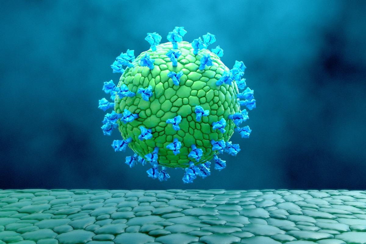 Study: Plant-derived VLP: a worthy platform to produce vaccine against SARS-CoV-2. Image Credit: Design_Cells/Shutterstock
