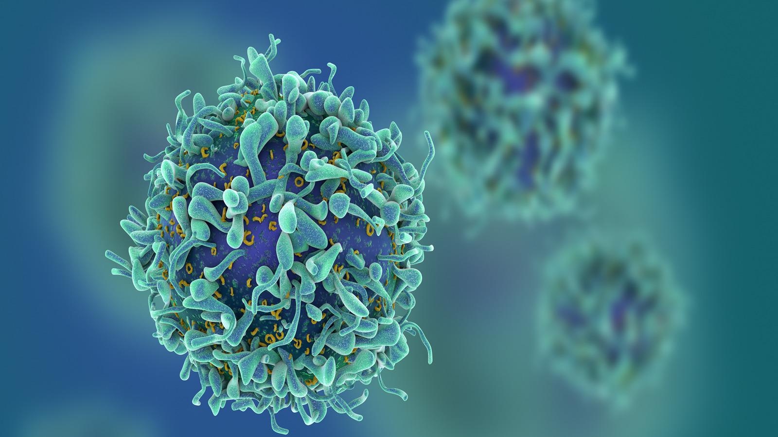 Study: T cell receptor repertoire signatures associated with COVID-19 severity. Image Credit: fusebulb / Shutterstock