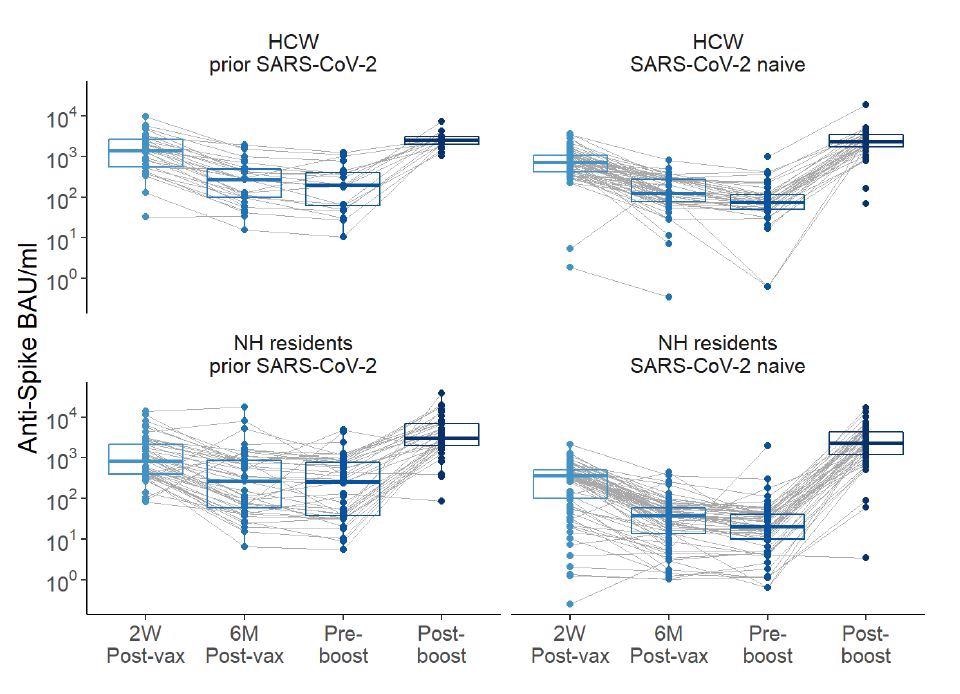 Anti-spike levels over time pre- and post-boost with BNT162b2 mRNA vaccination in healthcare workers (HCWs) and nursing home (NH) residents, with and without history of SARS-CoV-2. Anti-spike values depicted in the binding arbitrary units /milliliter (BAU/ml) based on the WHO standard. 2 weeks (2W Post-vax) and 6 months (6M Post-vax) post primary vaccination series and Pre-boost (generally 6-8 months after the first two-dose vaccination series) and Post-boost which is 14±3 days after vaccine boost.