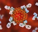 Kinetics and persistence of SARS-CoV-2 antibody responses