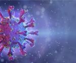 Study finds sarbecoviruses circulating in wildlife outside Asia can infect human cells
