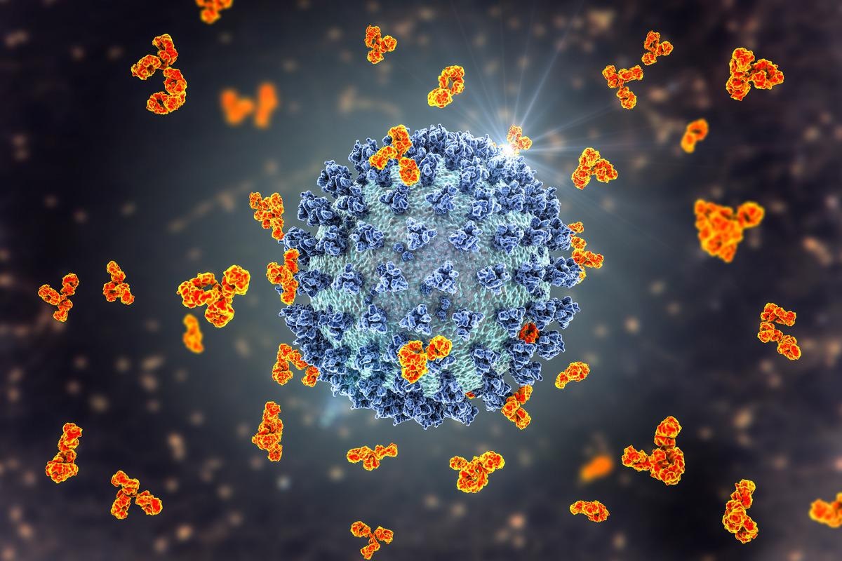Study: SARS-CoV-2 antibody and T cell responses one year after COVID-19 and the booster effect of vaccination: a prospective cohort study. Image Credit: Kateryna Kon/Shutterstock