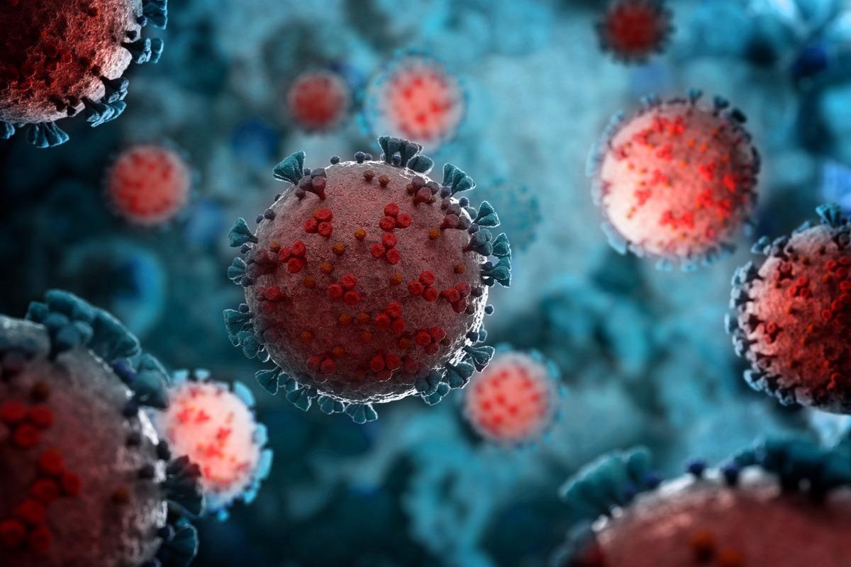 Study: Pre-existing humoral immunity to human common cold coronaviruses negatively impacts the protective SARS-CoV-2 antibody response. Image Credit: sdecoret/Shutterstock