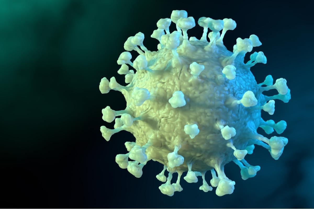 Study: Simultaneous analysis of antigen-specific B and T cells after SARS-CoV-2 infection and vaccination. Image Credit: CROCOTHERY/Shutterstock
