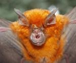 Climate change will affect bats hosting future coronaviruses, scientists predict