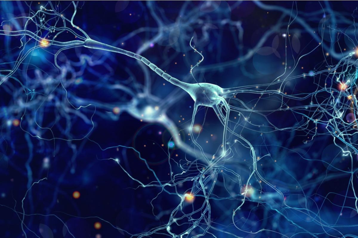 Study: Bidirectional cell-matrix interaction dictates neuronal network formation in a brain-mimetic 3D scaffold. Image Credit: whitehoune/Shutterstock